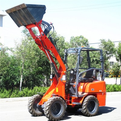 CH906 Hydrostatic drive mini loader ZL06 log loader in Norway