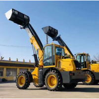 TL2500 2.5 ton high quality telescopic boom loader for sale